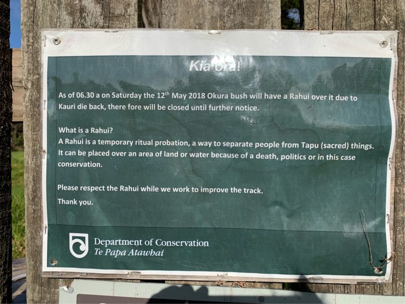 20190803_Okura Bush Walkway_4