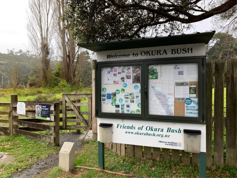 20190803_Okura Bush Walkway_1