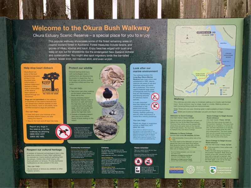 20190803_Okura Bush Walkway_2