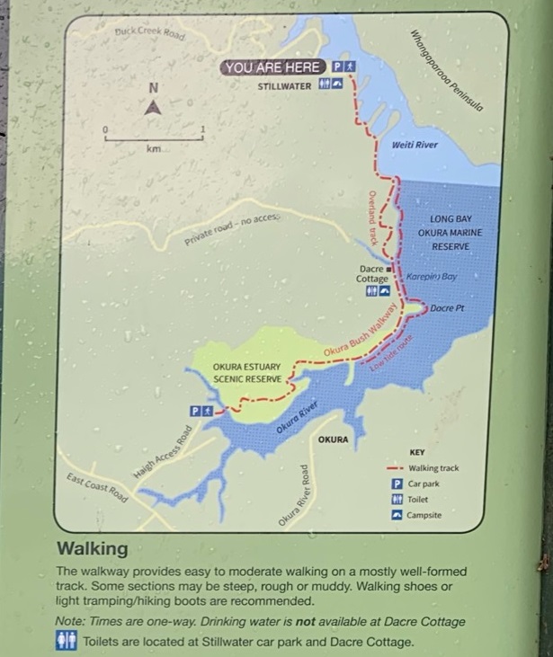 20190803_Okura Bush Walkway_3