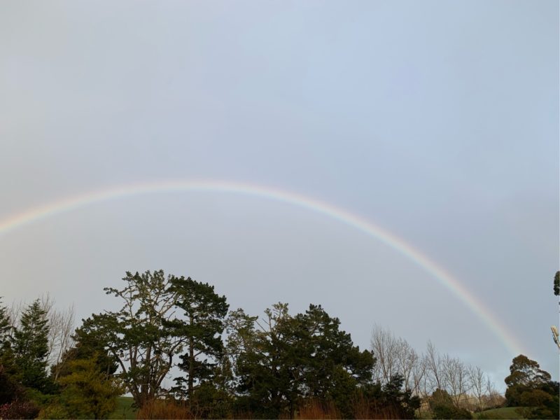 20190815_ダブルレインボー_1
