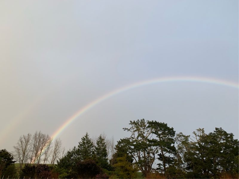 20190815_ダブルレインボー_2