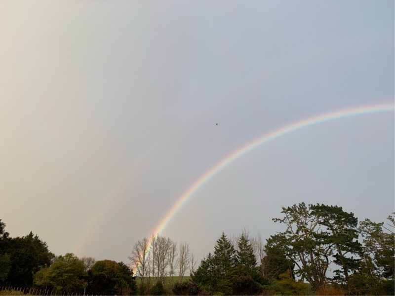 20190815_ダブルレインボー_3