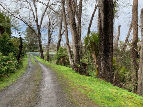 20190822_Gills Scenic Reserve_13
