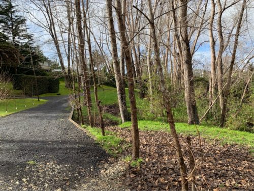 20190822_Gills Scenic Reserve_12