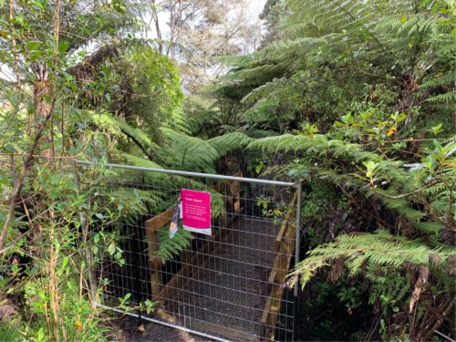 20190822_Gills Scenic Reserve_11