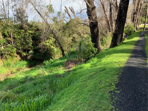 20190822_Gills Scenic Reserve_8