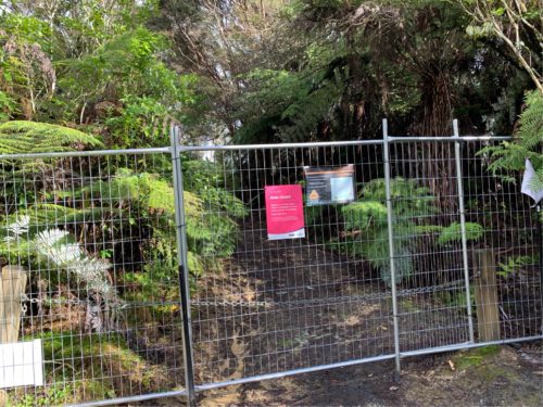 20190822_Gills Scenic Reserve_10