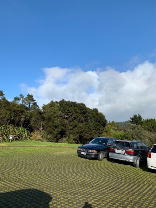 20190822_Gills Scenic Reserve_2