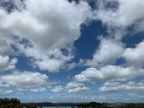 20191004_Sanders Reserve_5