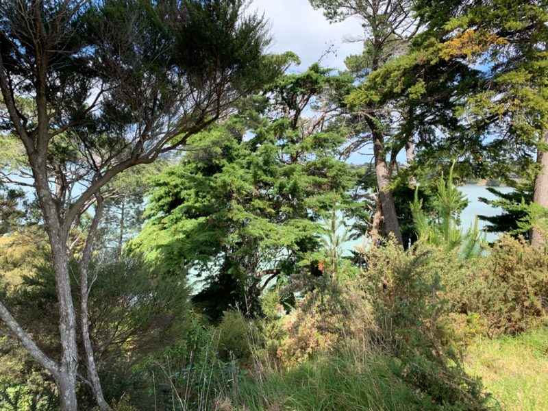 20191004_Sanders Reserve_9