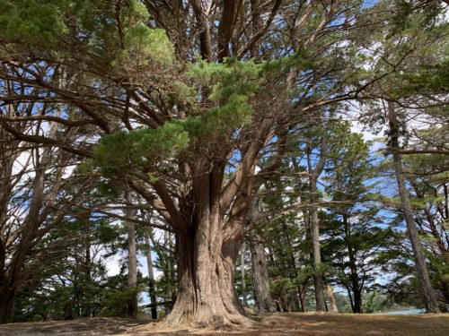 20191004_Sanders Reserve_18