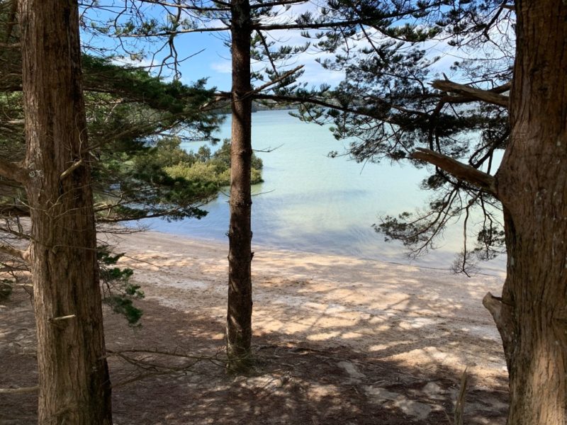 20191004_Sanders Reserve_17