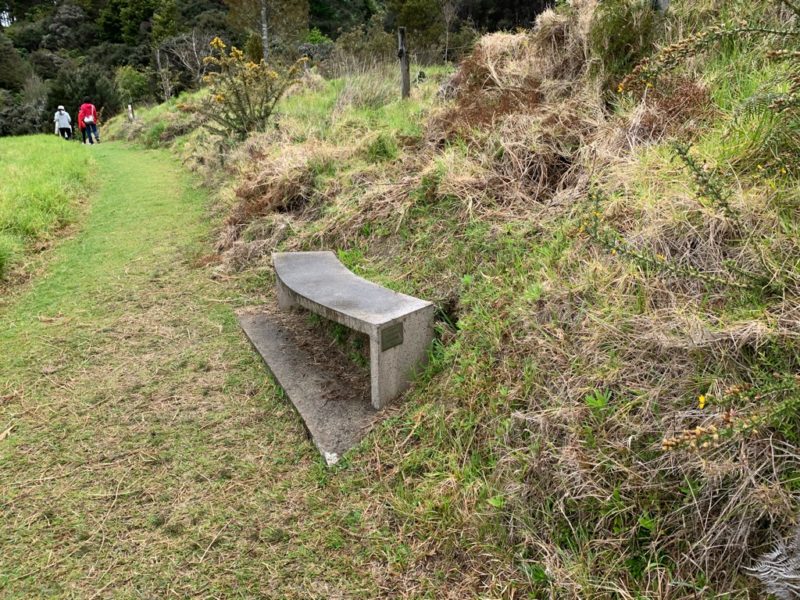 20191010_Puhoi Lookout Track 6 ベンチ