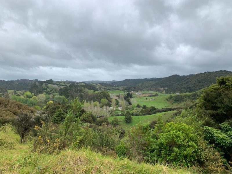 20191010_Puhoi Lookout Track 7