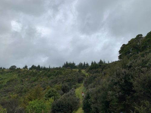 20191010_Puhoi Lookout Track 8