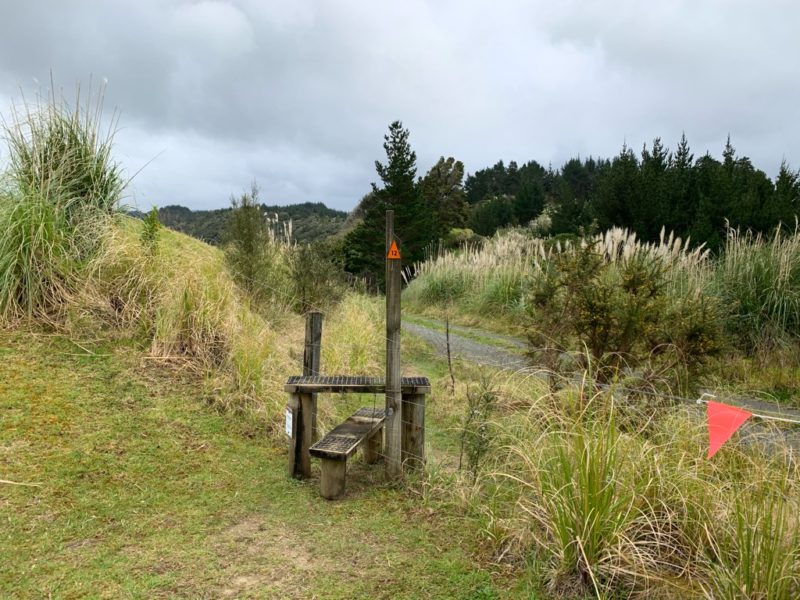 20191010_Puhoi Lookout Track 10