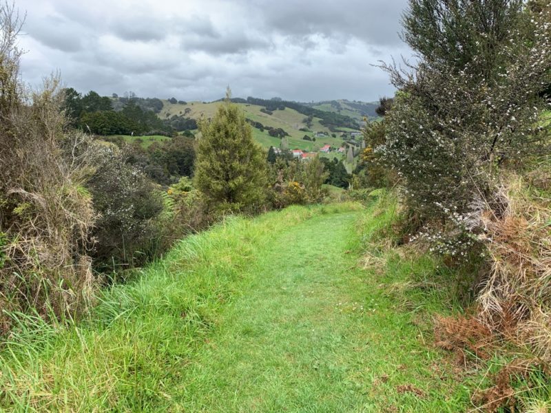 20191010_Puhoi Lookout Track 13