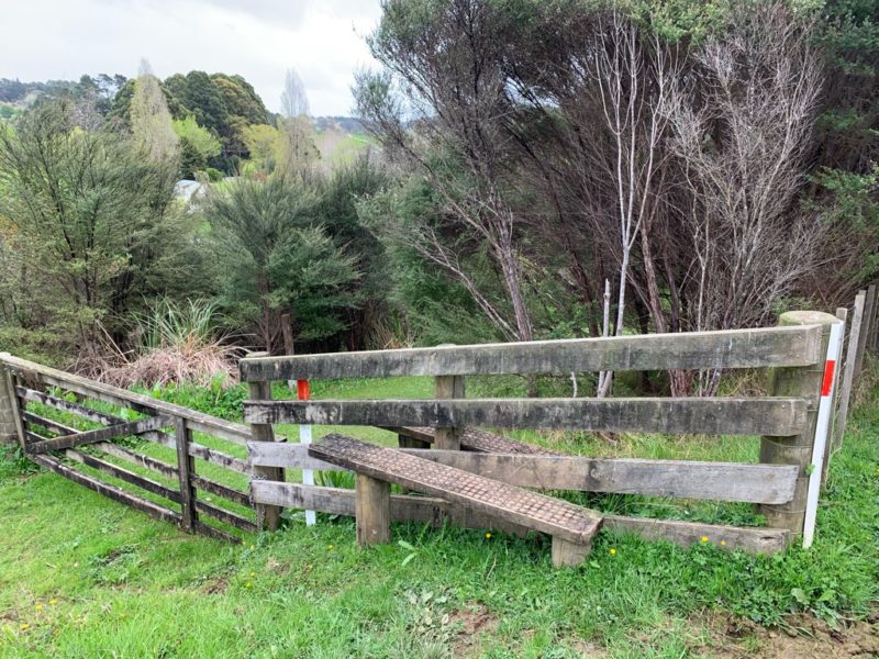 20191010_Puhoi Lookout Track 15