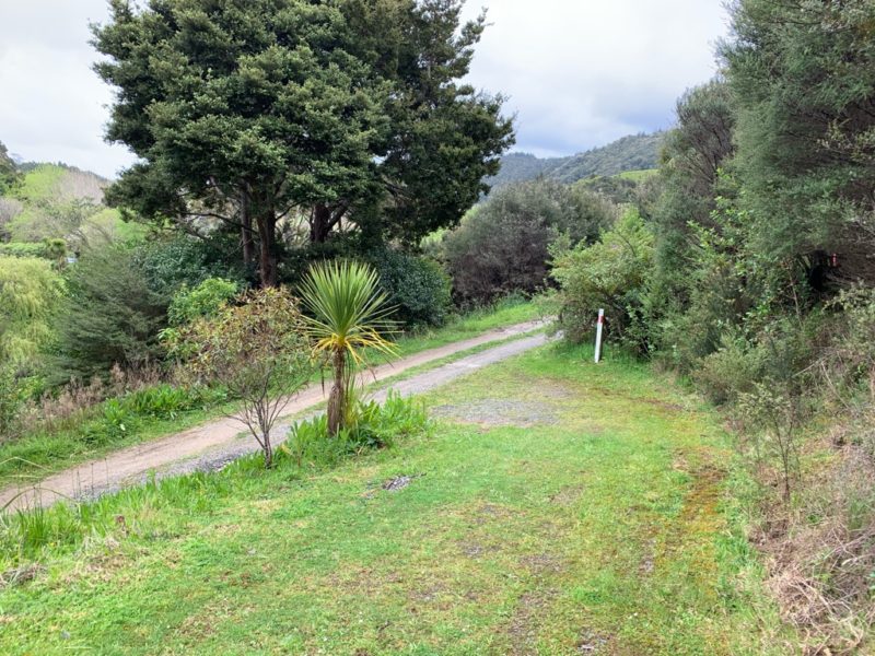 20191010_Puhoi Lookout Track 16