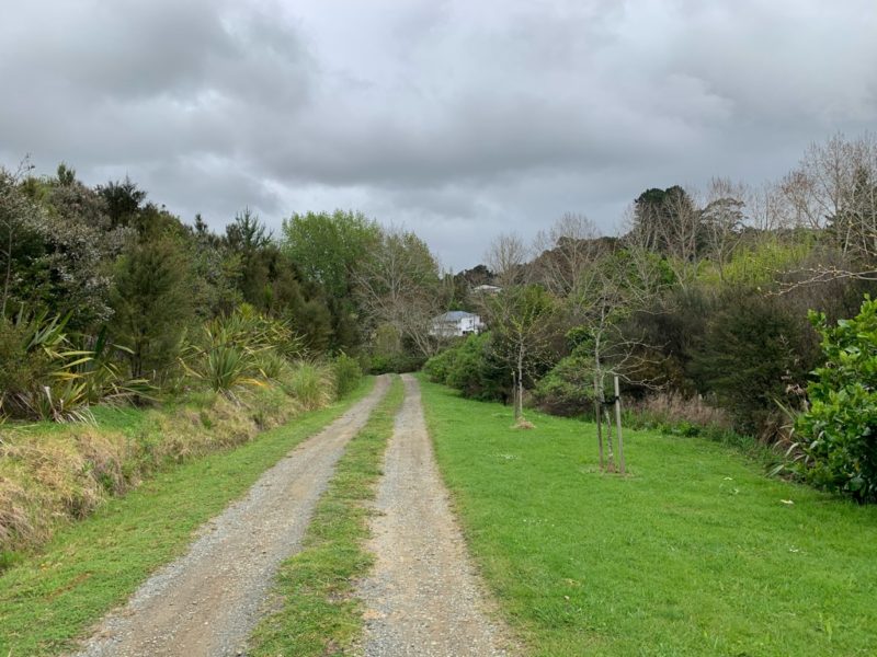 20191010_Puhoi Lookout Track 17