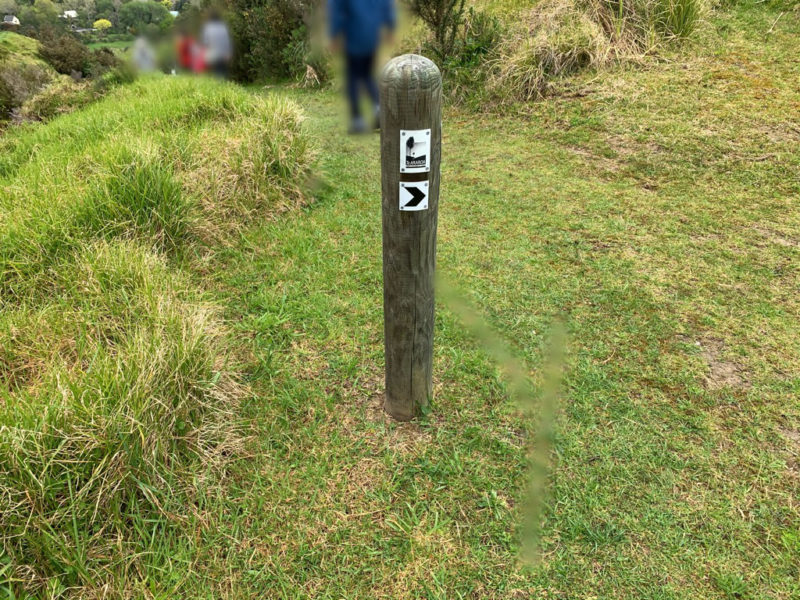 20191010_Puhoi Lookout Track 9