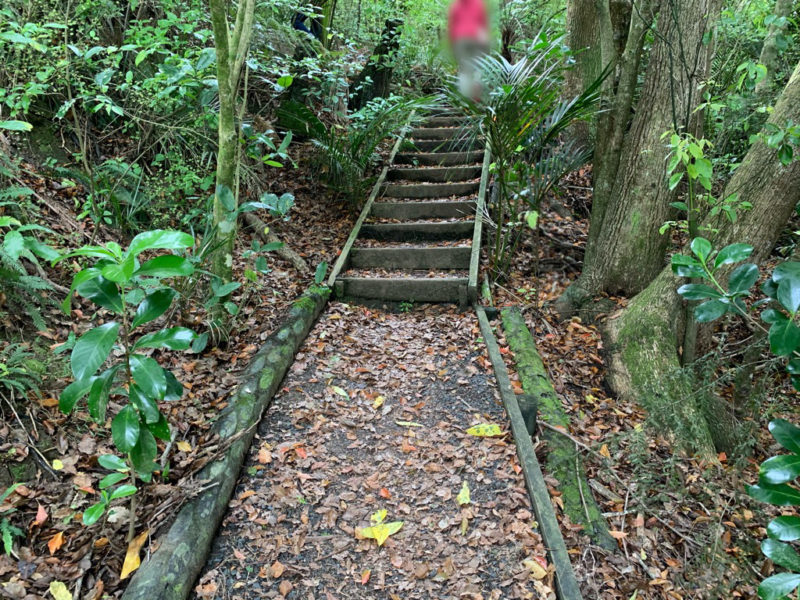 20191010_Puhoi Lookout Track 1