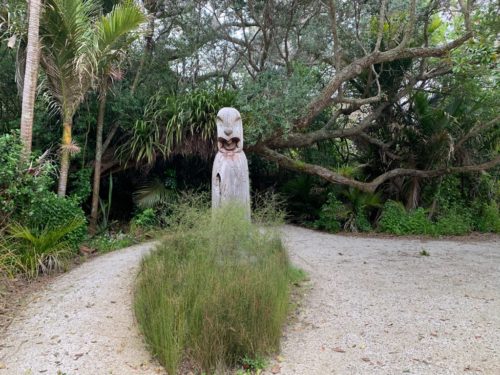 20191017_wenderholm regional park_2 ポウフェヌア