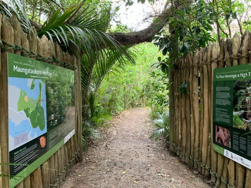 20191017_wenderholm regional park_3