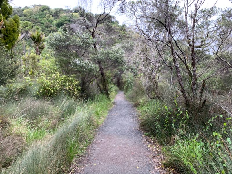 20191017_wenderholm regional park_5