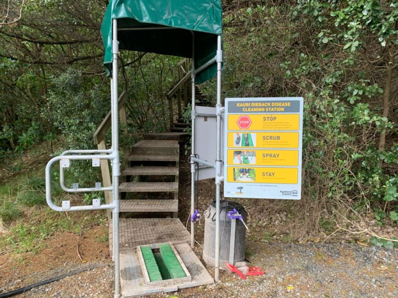 20191017_wenderholm regional park_8