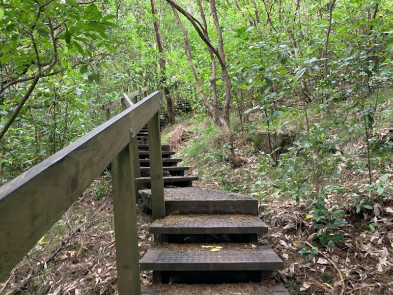 20191017_wenderholm regional park_9