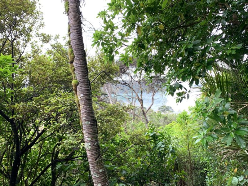 20191017_wenderholm regional park_11