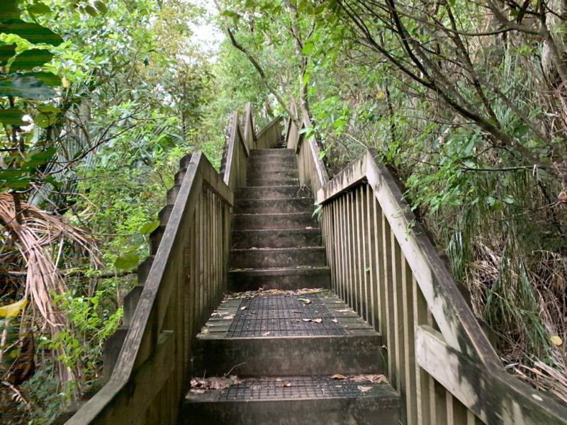 20191017_wenderholm regional park_10