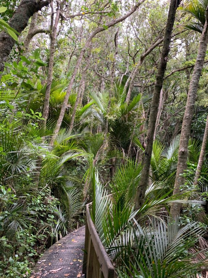 20191017_wenderholm regional park_12