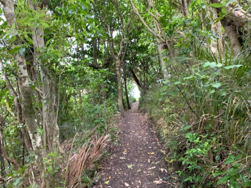 20191017_wenderholm regional park_13