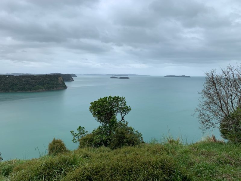 20191017_wenderholm regional park_15