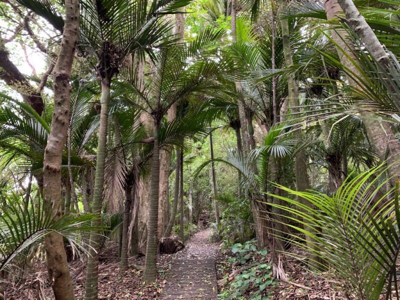 20191017_wenderholm regional park_17