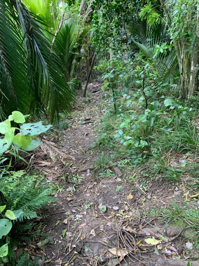 20191017_wenderholm regional park_23