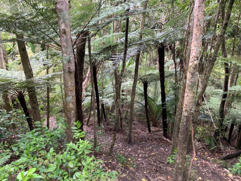 20191017_wenderholm regional park_24