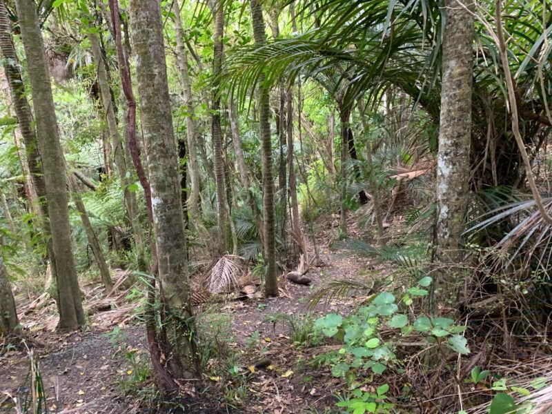 20191017_wenderholm regional park_25