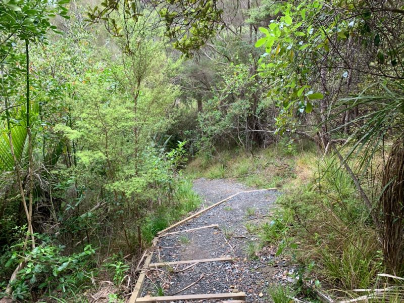 20191017_wenderholm regional park_27