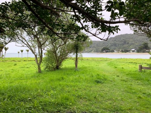 20191017_wenderholm regional park_30