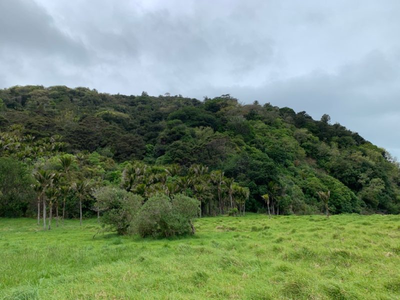 20191017_wenderholm regional park_33