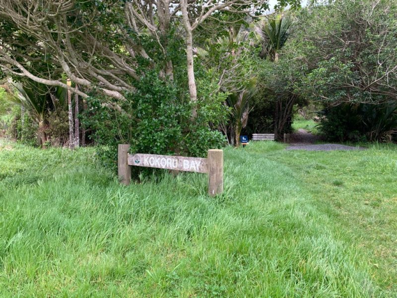 20191017_wenderholm regional park_34