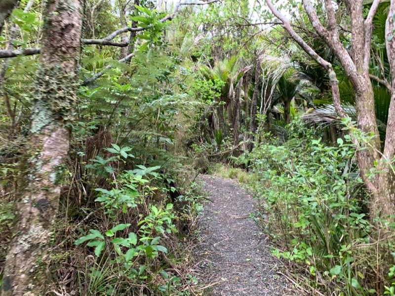 20191017_wenderholm regional park_36