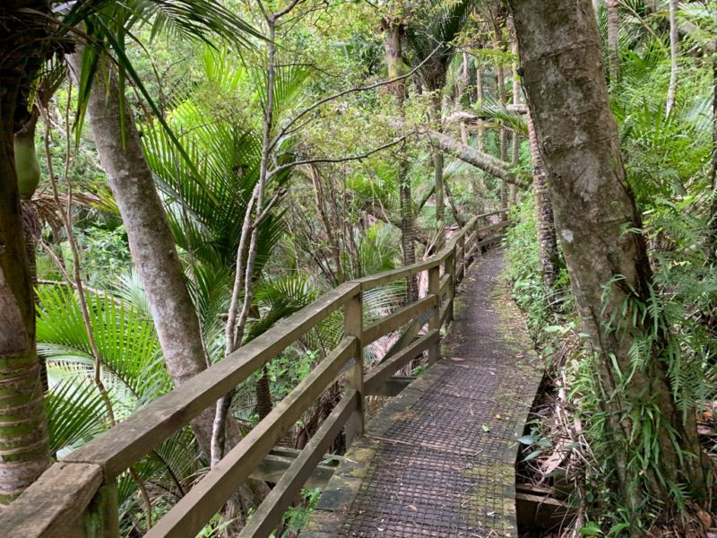 20191017_wenderholm regional park_37