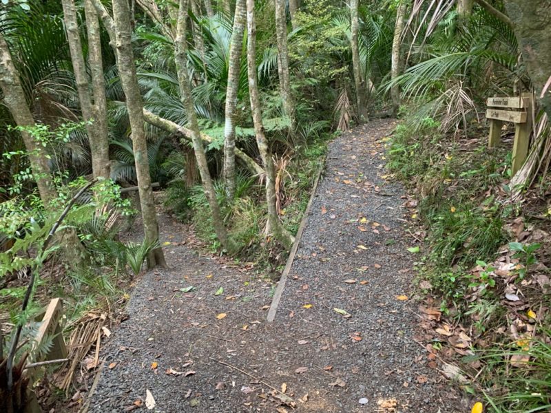 20191017_wenderholm regional park_38