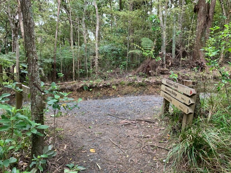 20191017_wenderholm regional park_41