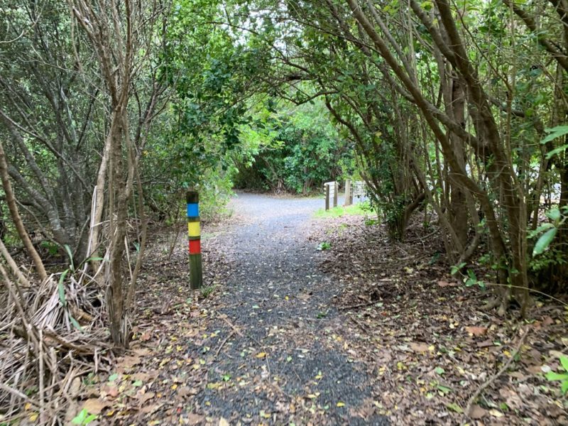 20191017_wenderholm regional park_55